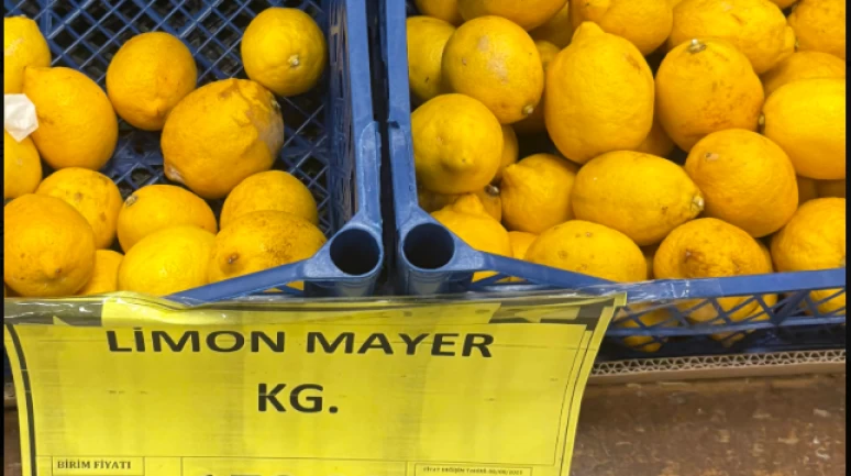 Limon neden pahalı?