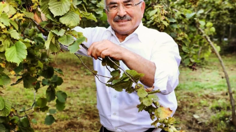 Ordu Belediye Başkanı Hilmi Güler: "Fındığın hamallığını yapıyoruz"