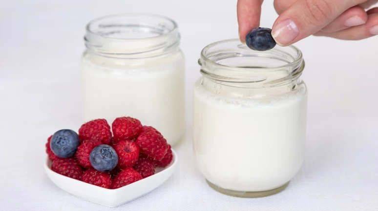 Sade kefir mi meyveli kefir mi?