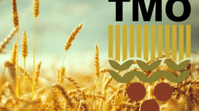 TMO 6 tedarikçiden ekmeklik buğday aldı