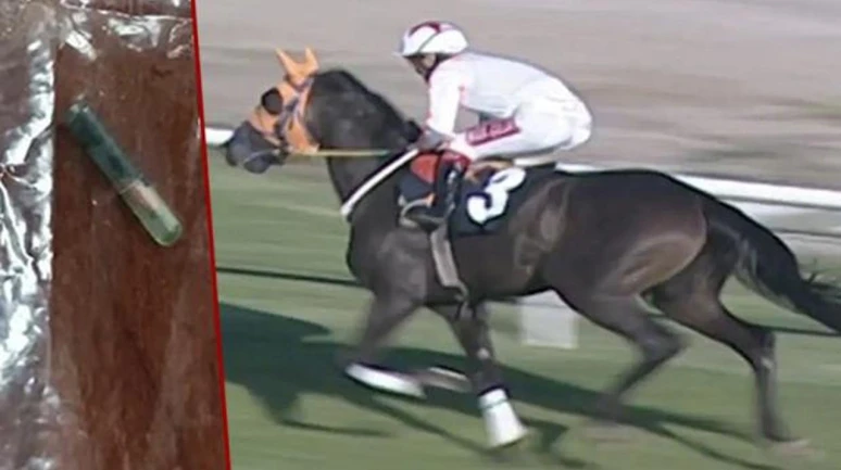 Halka at eti yediren firma cemaatin şirketiymiş!