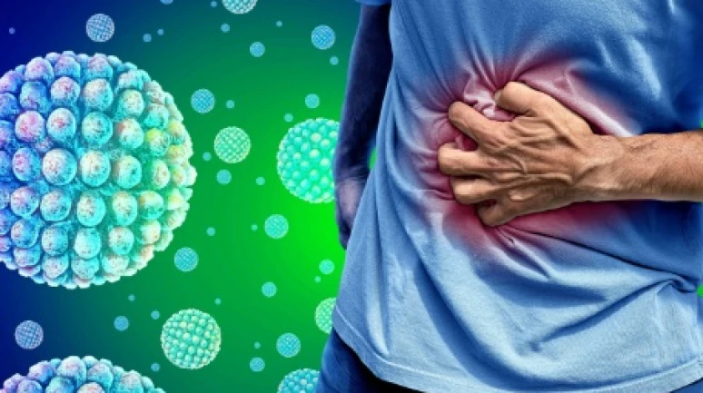 En pahalı bakteri; Salmonella..