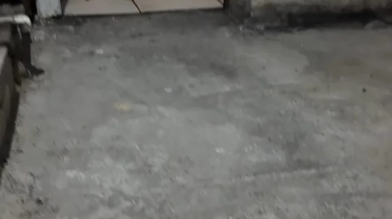 Zabıta Müdürü: Yılan çıkacak diye korkuyorum