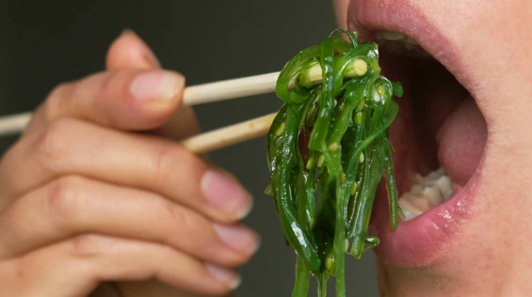 İşte 2026 yılının gıda ve yemek trendleri; Bol lifli, protein ağırlıklı, hazır ve hızlı..