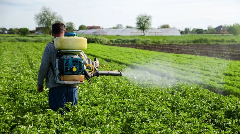 Yaygın tarım ilaçları erkek doğurganlığını tehdit ediyor