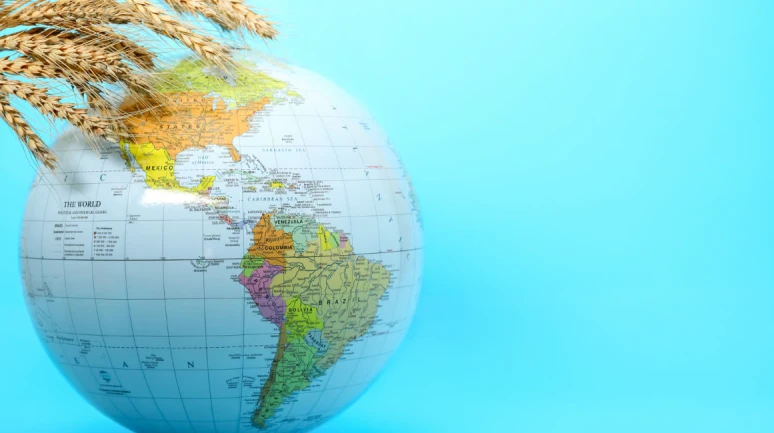 Dünyada gıda fiyatları neden yükseliyor? FAO’dan dikkat çeken Eylül verisi
