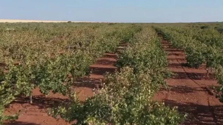 Deprem bölgesinde tarımsal ekipmana yüzde 90, hayvancılığa yüzde 75 hibe!