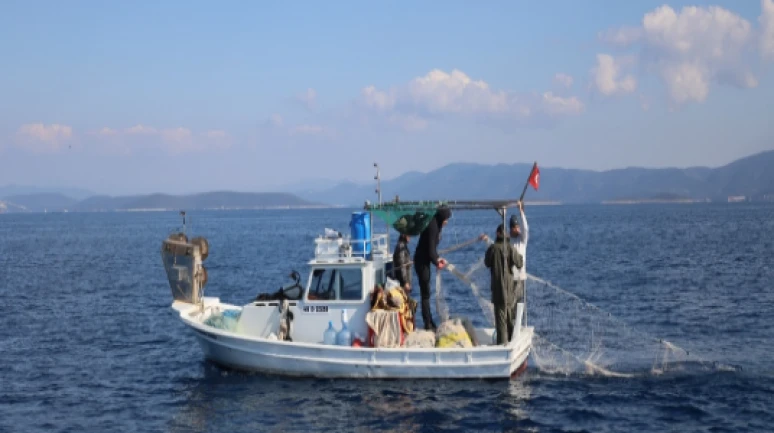 Balıkçılık desteği başvuruları başladı; Destekleme rakamları belirlendi!