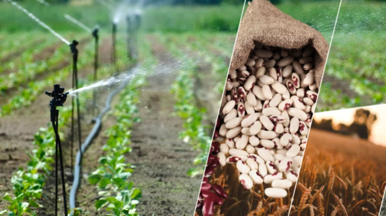 Tarım desteği için icmal itirazlarına dikkat