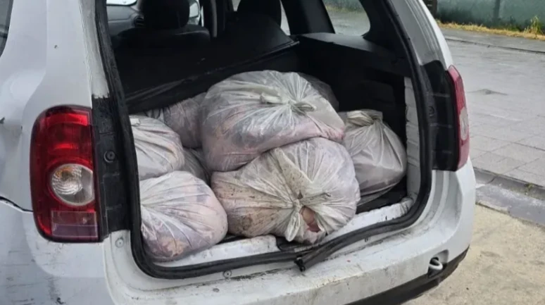 Çatalca’da at çiftliğine at eti operasyonu