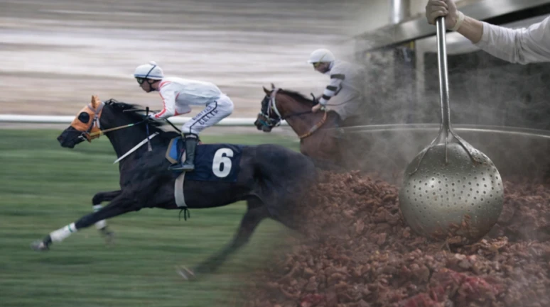 Şampiyon yarış atı kavurma oldu!