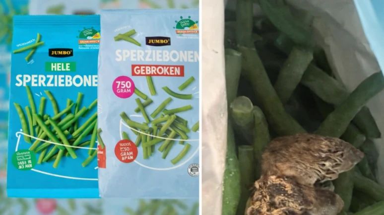 Dondurulmuş fasulyelerde fare skandalı; Fasulyeler toplatılıyor