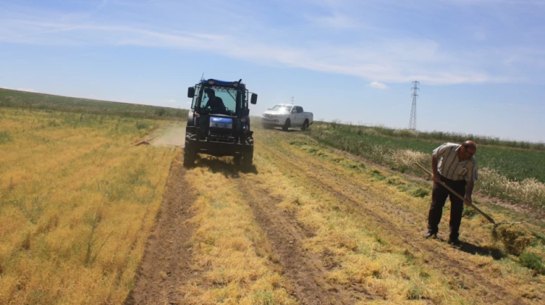 İran savaşı Türkiye'de gıda krizine yol açacak mı; Bakan yanıtladı