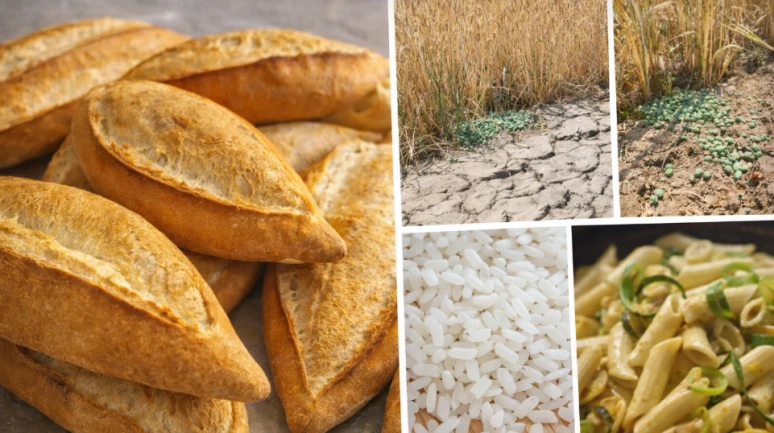 Eyvah ekmekte kanserojen kadmiyum! Başka hangi gıdalardan geçiyor?