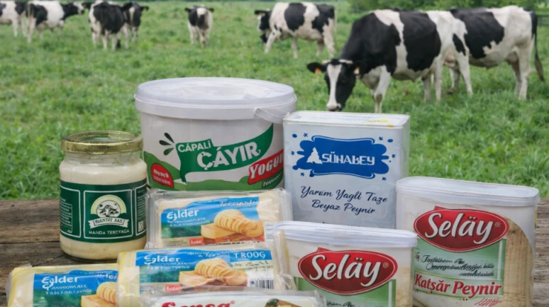 Peynire bitkisel yağ, yoğurda nişasta: 22 firma ve 29 marka ifşa oldu