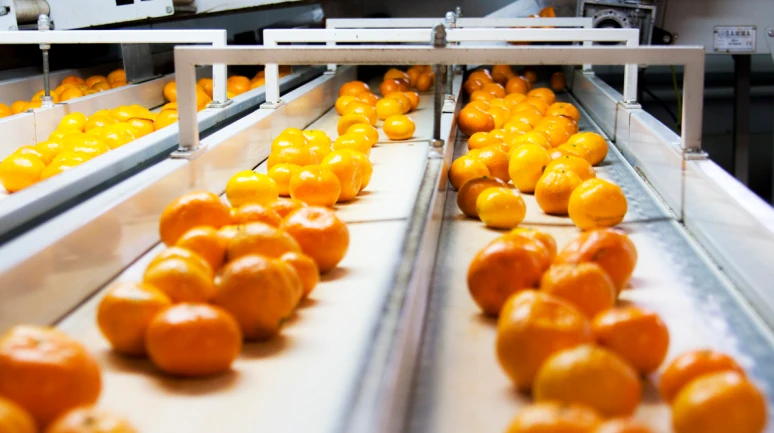 Mandalina, domates ve biber ihracatı sırtladı: İilk çeyrekte 1 milyar dolar aşıldı