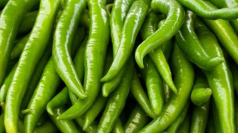 Reçeteli tarım zehri Avrupa'ya giden biberde çıktı!