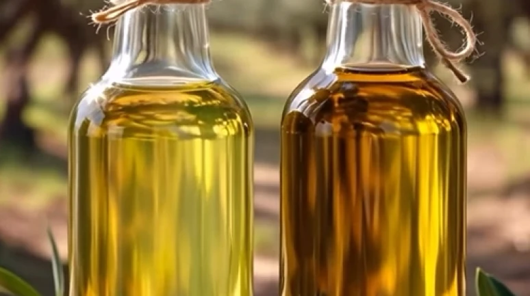 Organik zeytinyağları bile kirli çıktı!