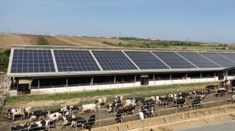 Tarım tesislerindeki GES'ler için yeni düzenleme: Gece elektriğine ödeme dönemi