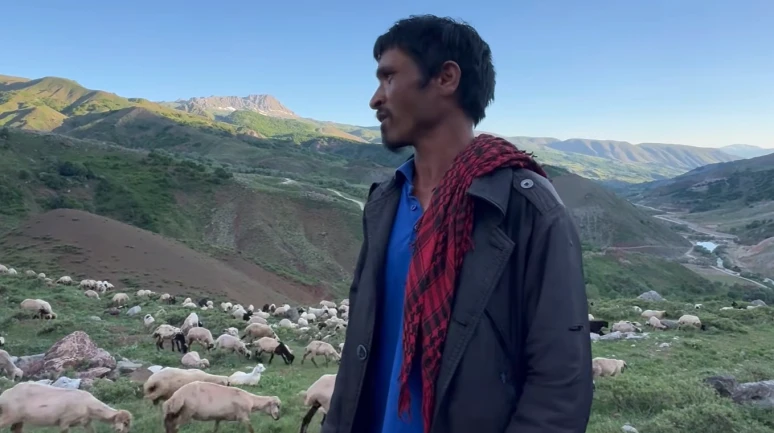 Yasal "ithal çoban" dönemi: İŞKUR aracılığıyla yurt dışından çoban getirilecek