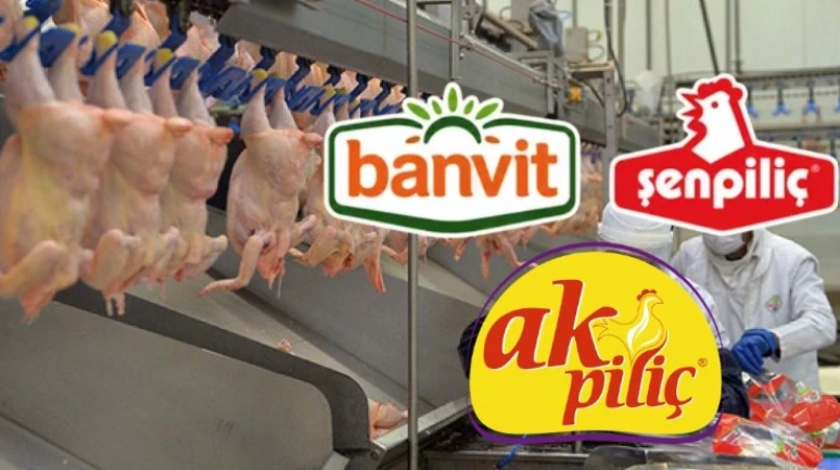 Denetim kayyumuna mahkemeden ret; 4 piliç firmasına kayyum atanmıyor