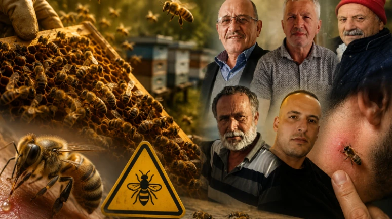 3 ayda arı sokmasından 5 kişi öldü; Arı soktuğunda ne yapmalı?