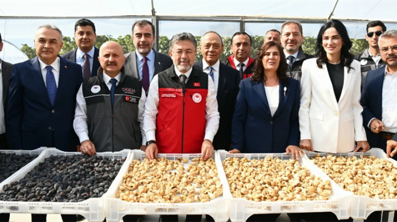 Türkiye incir üretiminde dünya birincisi: 2026’da 388 bin ton rekolte bekleniyor