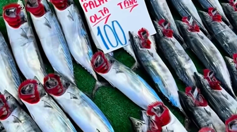 Palamutta korkutan uyarı; Bu yıl Karadeniz'den palamut fışkırıyor ama stok eriyebilir!