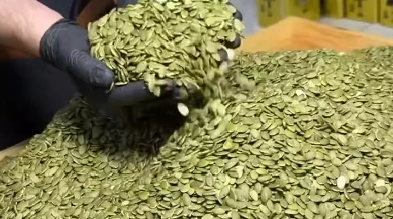 Kabak çekirdeği alarmı; Çekirdek yiyen 81 kişi hastalandı..