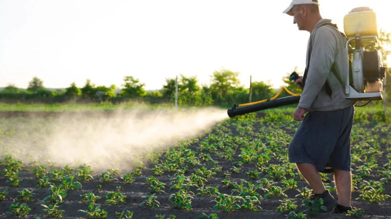 Çiftçiler için pestisit alarmı: Her yıl 400 milyondan fazla zehirlenme vakası