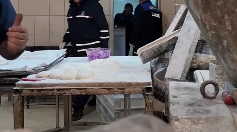 Zabıta Müdürü: Yılan çıkacak diye korkuyorum