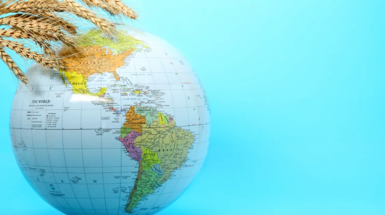 Dünyada gıda fiyatları neden yükseliyor? FAO’dan dikkat çeken Eylül verisi