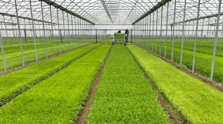 Bakan Şimşek duyurdu: Gıda fiyatları böyle düşer mi?