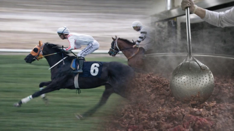 Şampiyon yarış atı kavurma oldu!