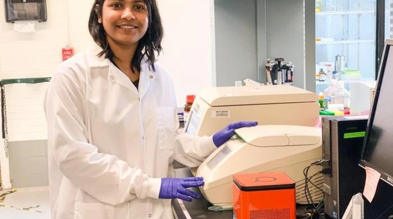 Plastik ambalajlardan kopan nanoplastikler, Salmonella’yı daha tehlikeli hale getiriyor