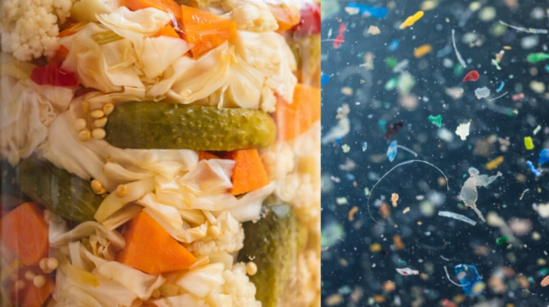 Mikroplastiklere karşı turşu kalkanı mı? Yeni araştırma umut verdi