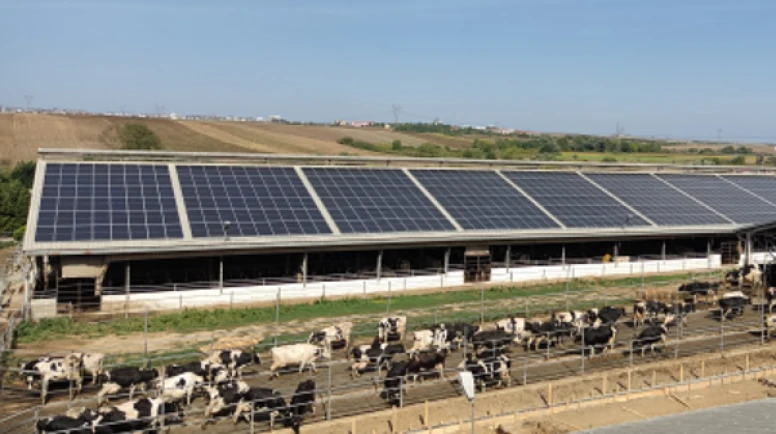 Tarım tesislerindeki GES'ler için yeni düzenleme: Gece elektriğine ödeme dönemi