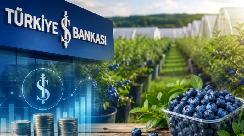 İş Bankası’ndan yaban mersinine büyük yatırım