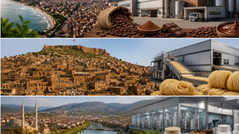 Katma değerli gıdaya teşvik yağdı; Ordu çikolata, Mardin noodle merkezi oluyor!