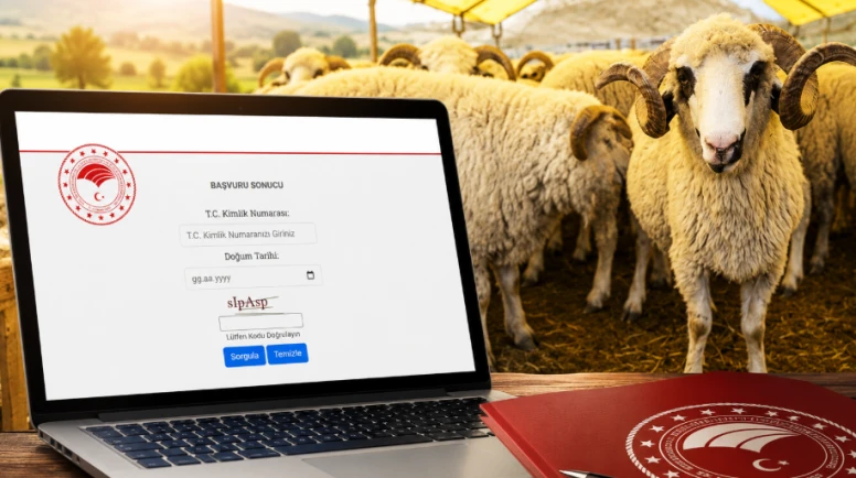 Kırsalda Bereket sonuçları açıklandı! 100 koyun desteğinde adı çıkanlar ne yapacak?