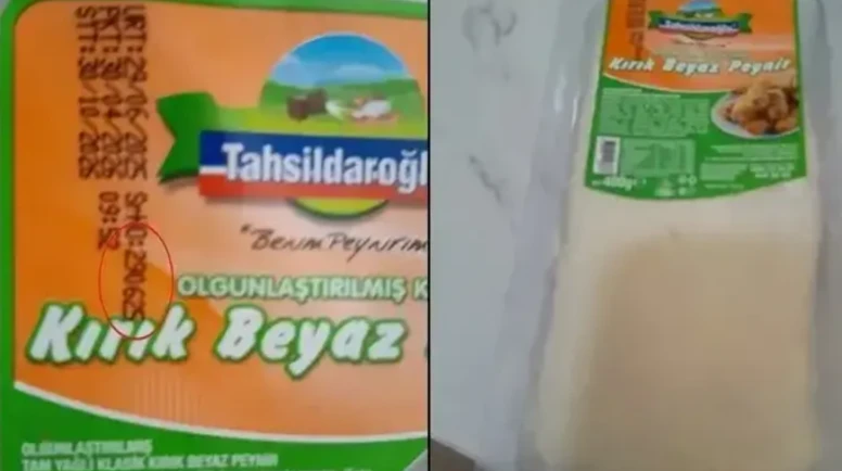 Tahsildaroğlu peynirde bakteri alarmı; Listeria hangi üründe saptandı?