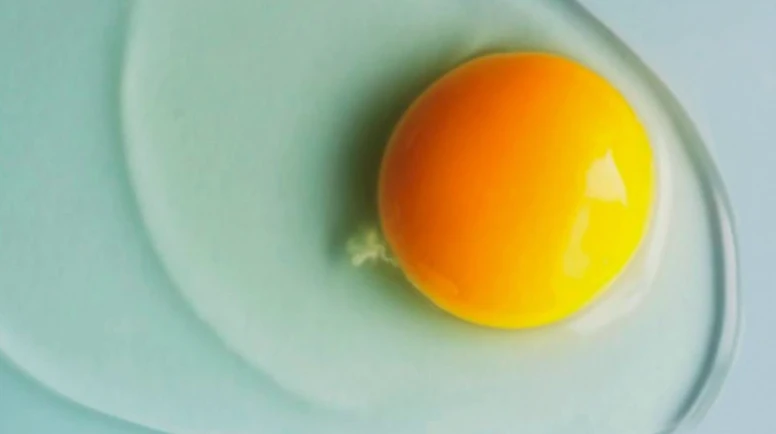Yumurta salgınında 549 vaka, 2 ölüm; Yumurta yerken nelere dikkat edilmeli?