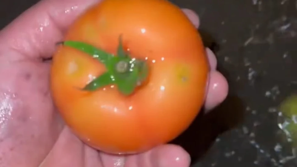 Antalya’da sel felaketi: Seralar su altında, domates tarlaları yok oldu